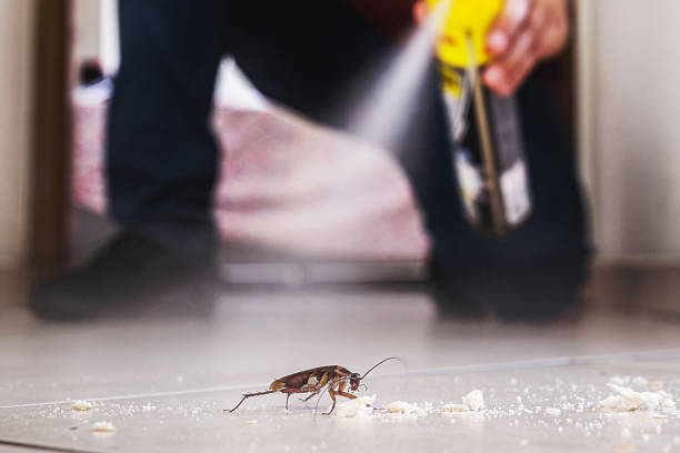 Trusted Parsippany, NJ Pest Control Experts